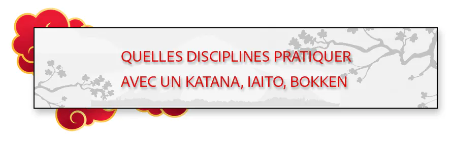 disciplines sabre japonais