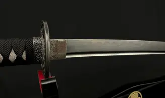 Katana Shinsakuto