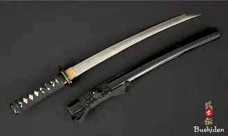 Wakizashi Tenshin-ryū