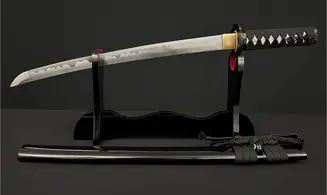 Wakizashi Tenshin-ryū