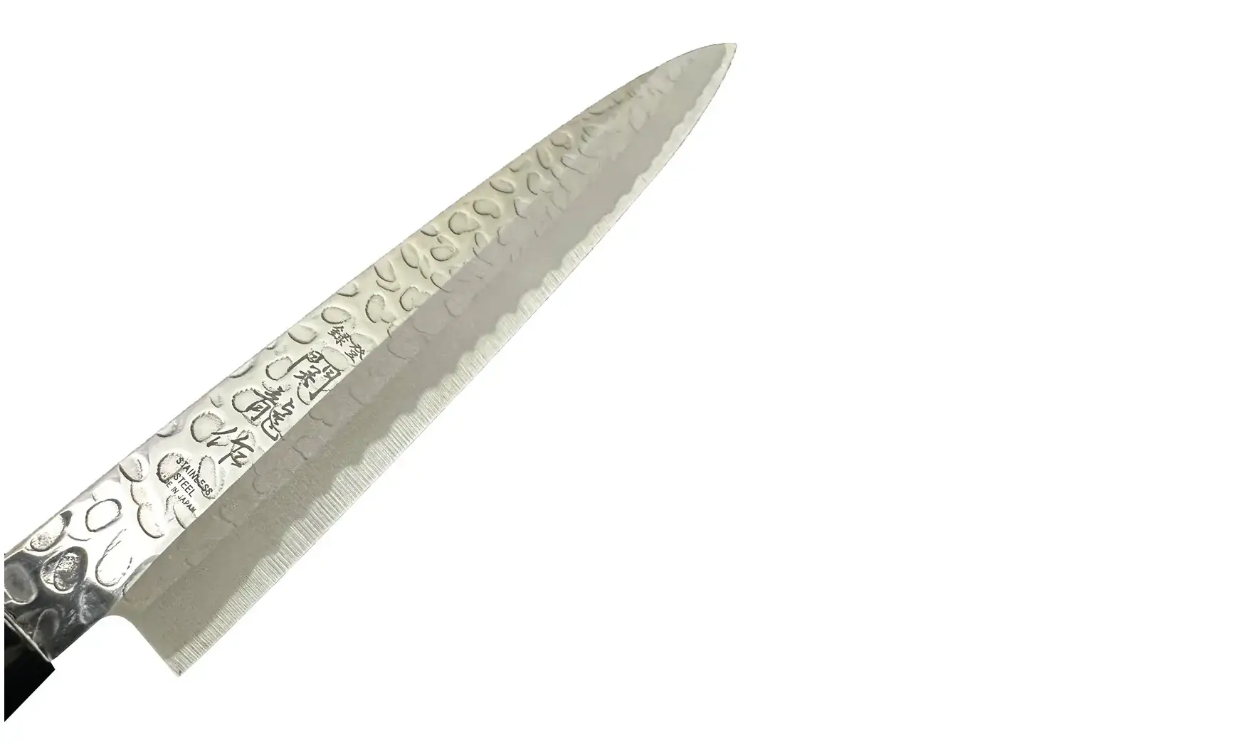 Couteau Sashimi Asymétrique