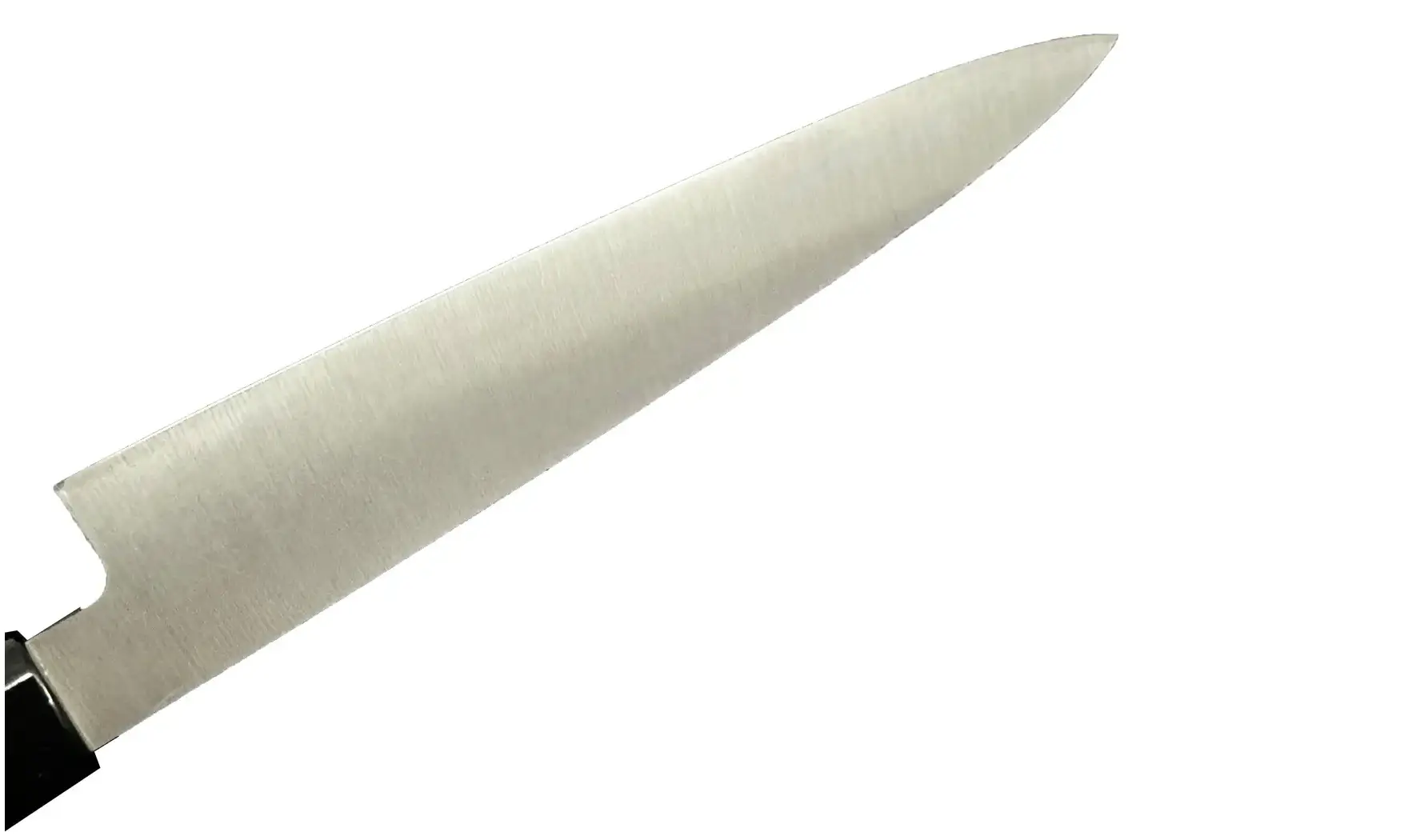 Couteau Sashimi Asymétrique