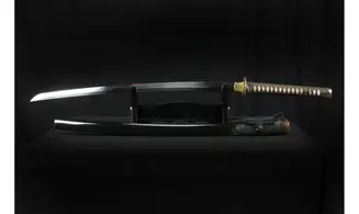 Katana Silver Dragonfly