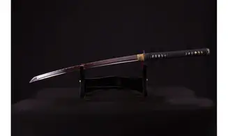 Ninjato Inazuma