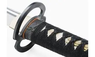 Dragonfly BoHi Musashi