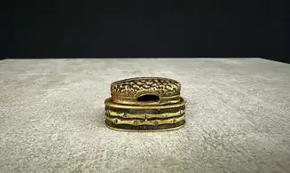 Fuchi-Kashira Tempête d'Or