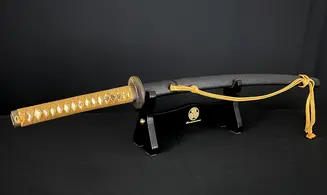 Iaito Carbon